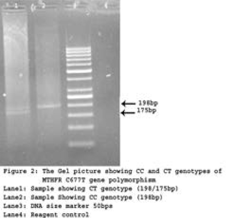 Figure 2 A