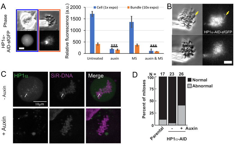 Figure 5—figure supplement 1.