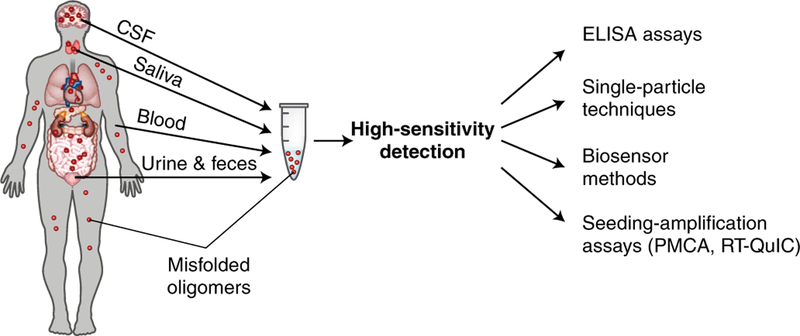 Fig. 5 |