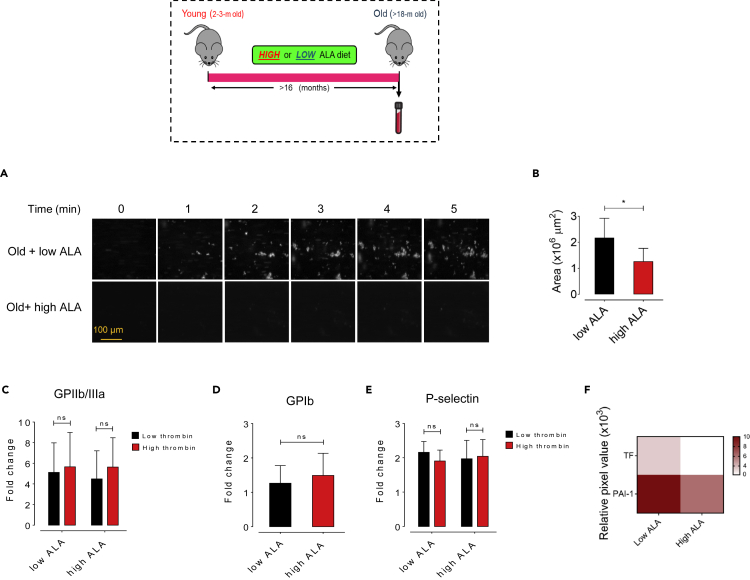 Figure 4