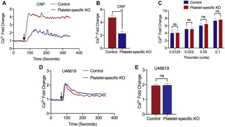 Figure 3