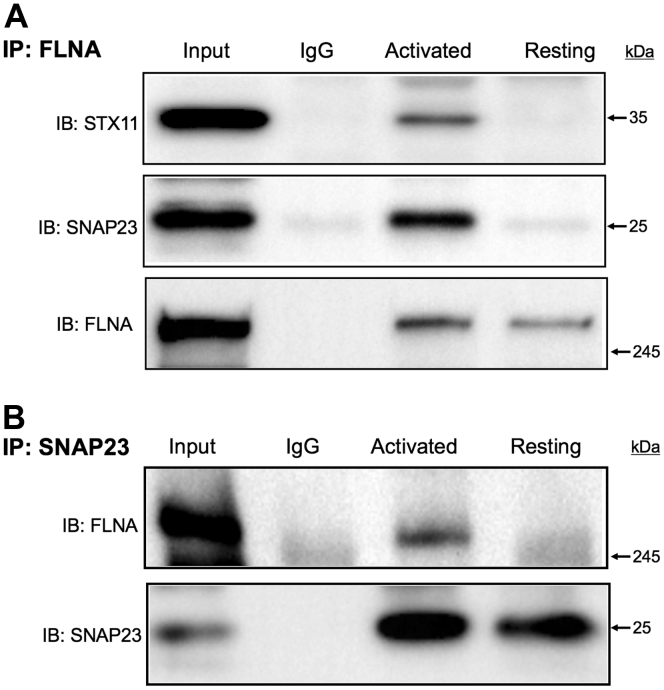 Figure 5