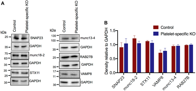 Figure 4