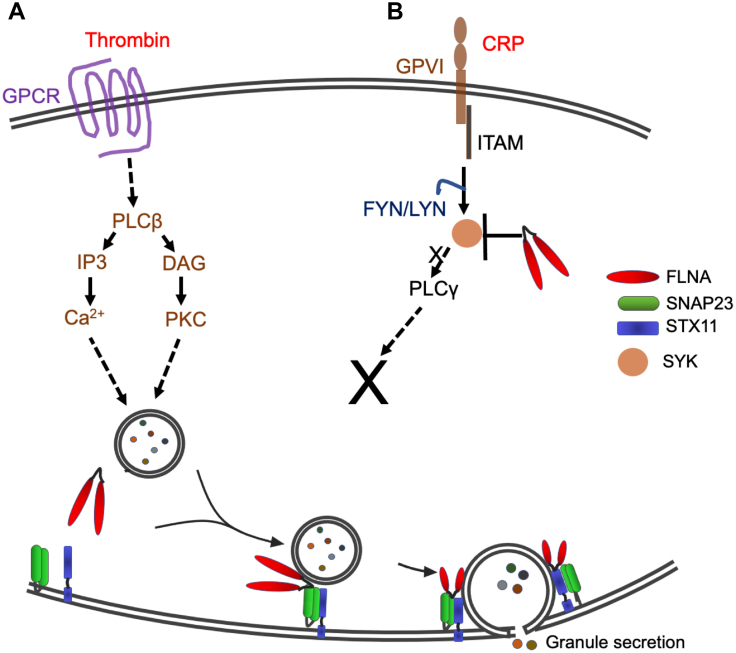 Figure 6