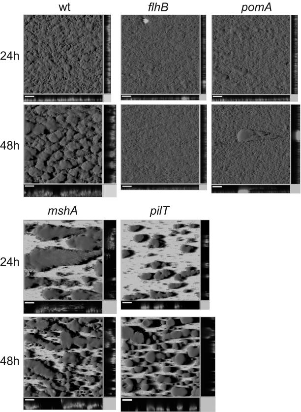 FIG. 3.