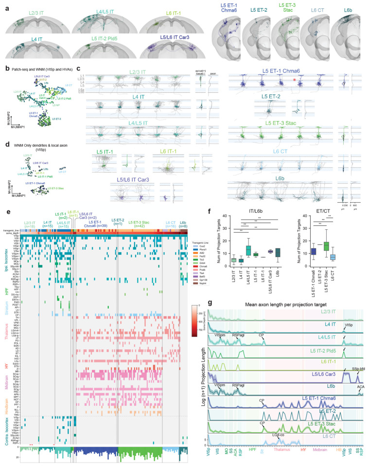 Figure 4: