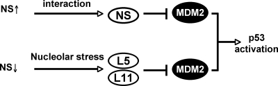 FIG. 8.