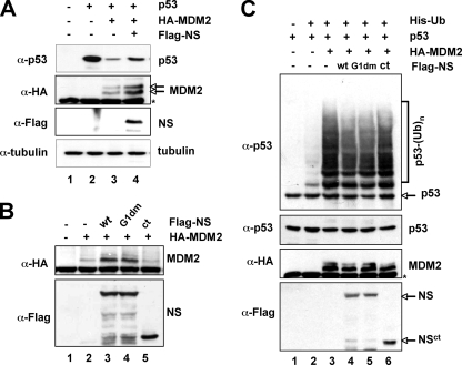 FIG. 3.