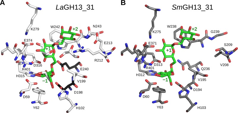 Fig 5