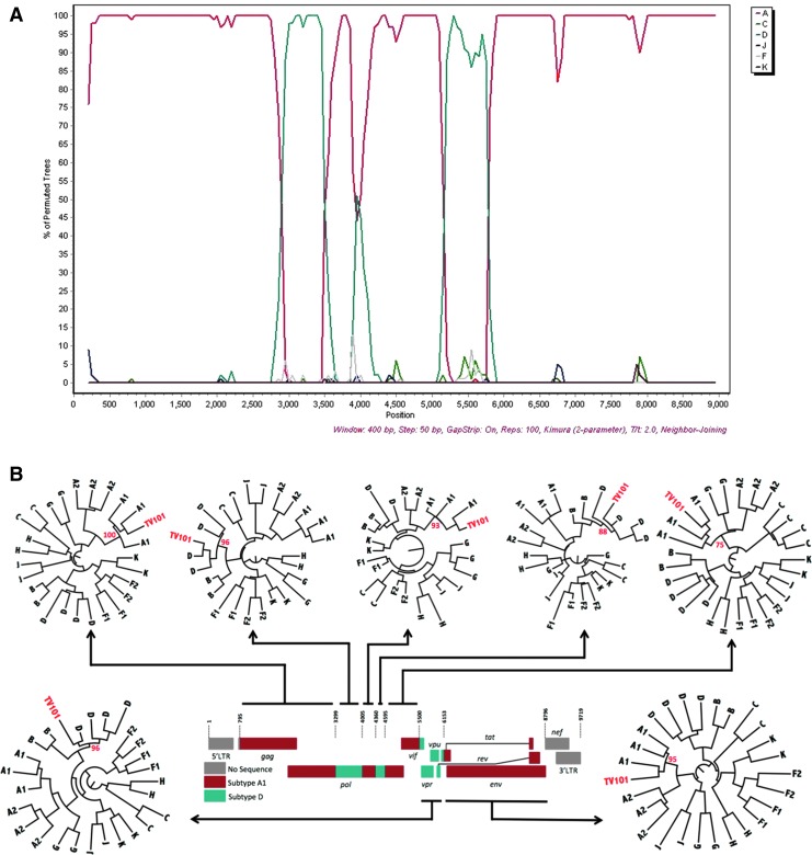 FIG. 2.