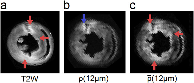 Fig. 8