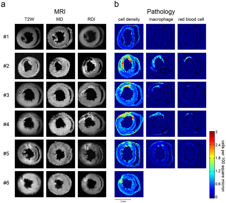 Fig. 4.