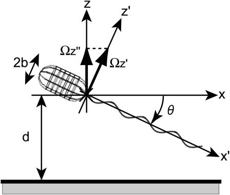 FIGURE 4