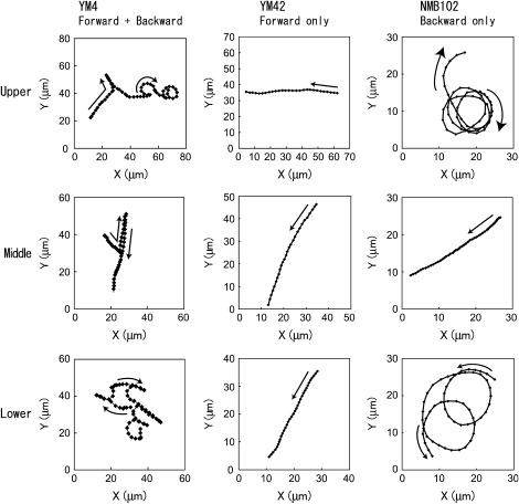 FIGURE 3