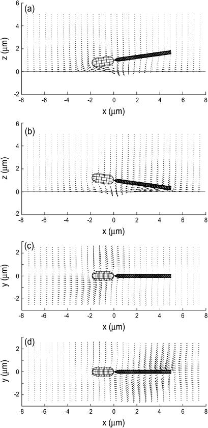 FIGURE 9