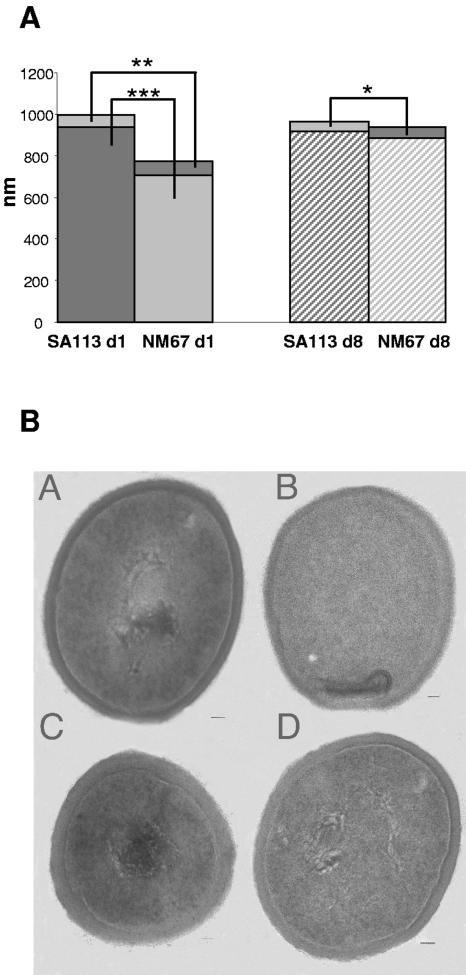 FIG. 5.