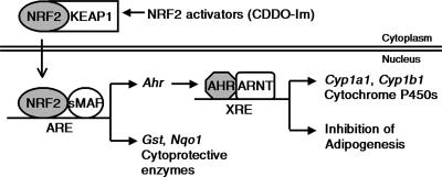 FIG. 7.