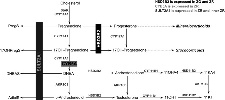 Figure 4.