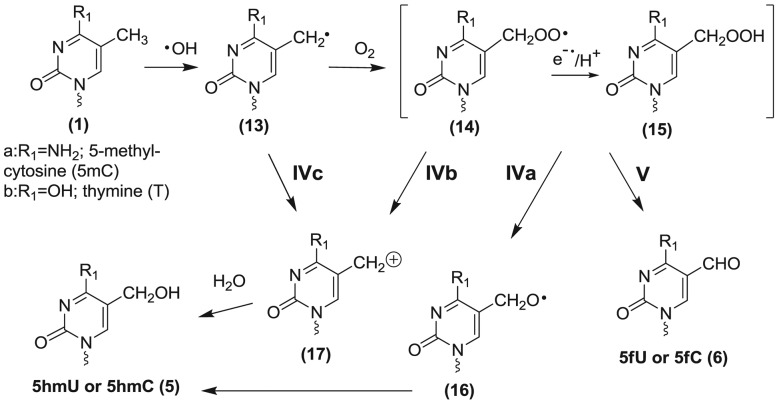 Scheme 2.