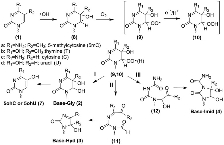 Scheme 1.