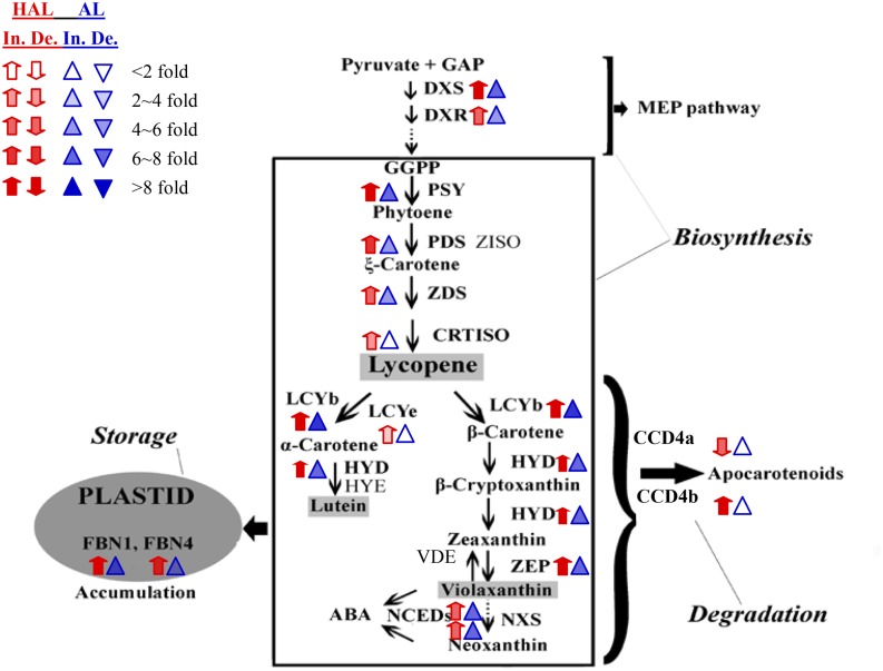 Figure 6.