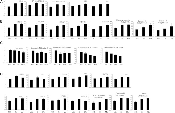 Figure 12.