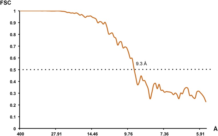 Fig. S1.