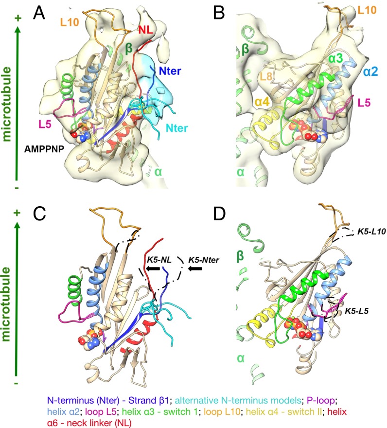 Fig. 4.