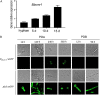 FIG 1