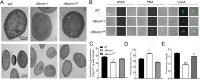 FIG 3
