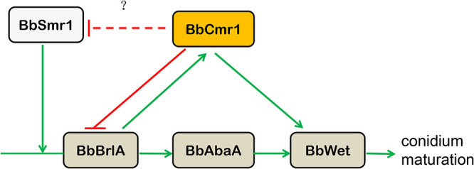 FIG 11