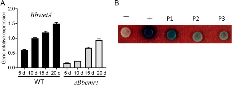 FIG 6