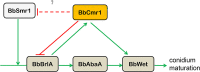 FIG 11