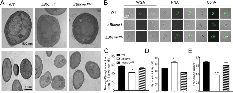 FIG 3