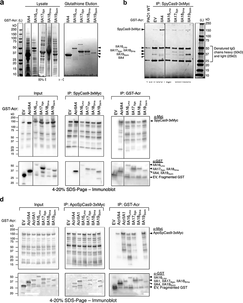 Extended Data Fig. 4