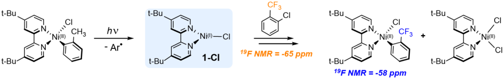 Scheme 1.