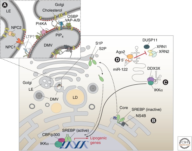 Figure 3.