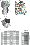 FIG 1