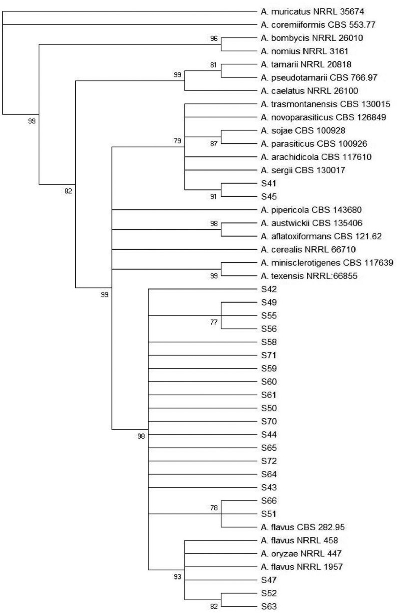 Figure 3.