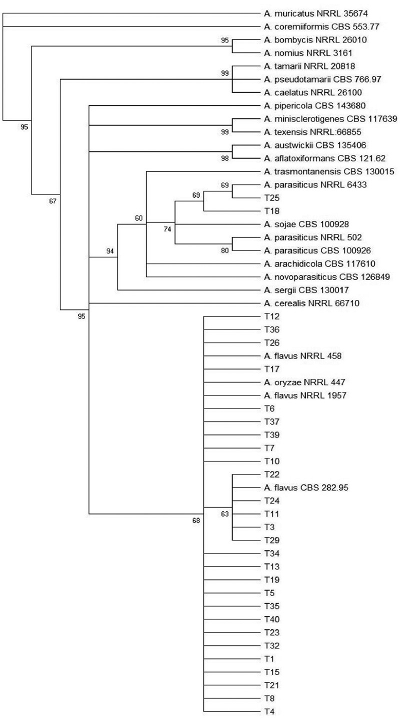 Figure 2.