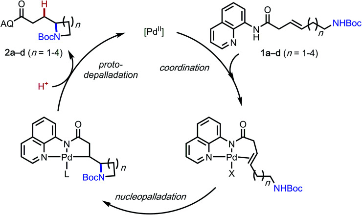 Scheme 3