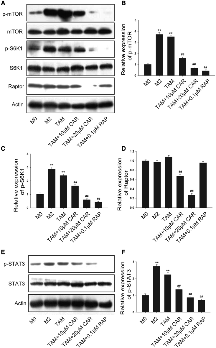 Figure 7