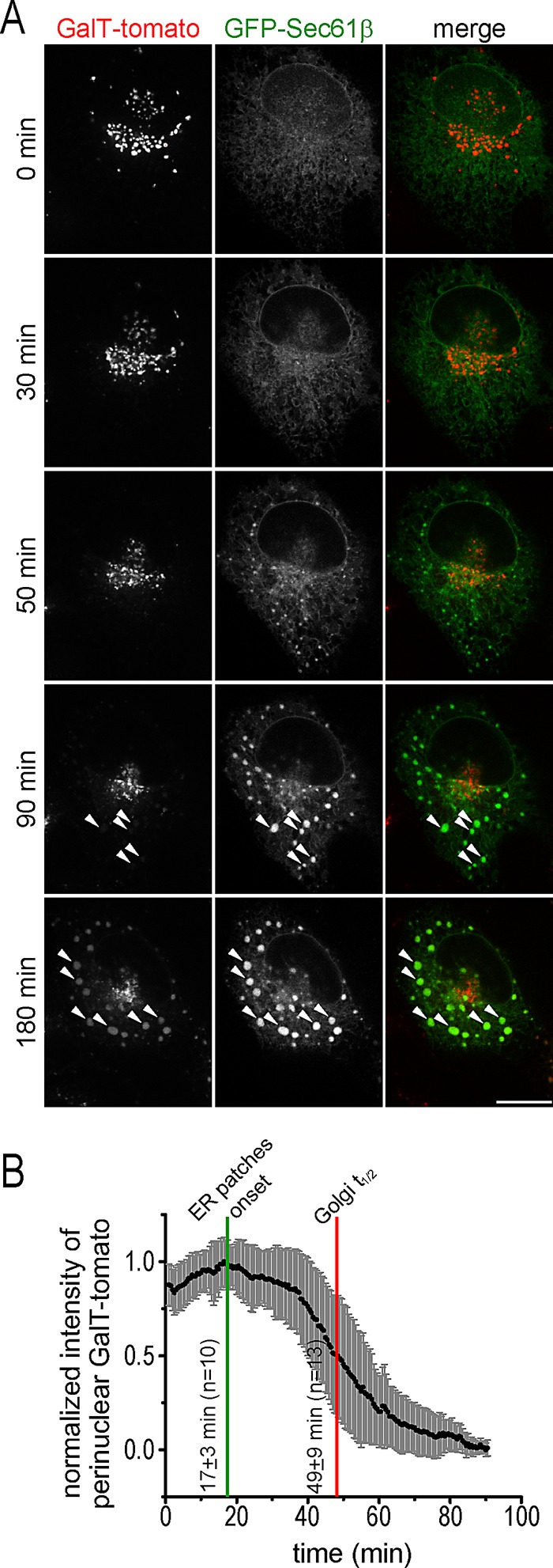 FIGURE 6: