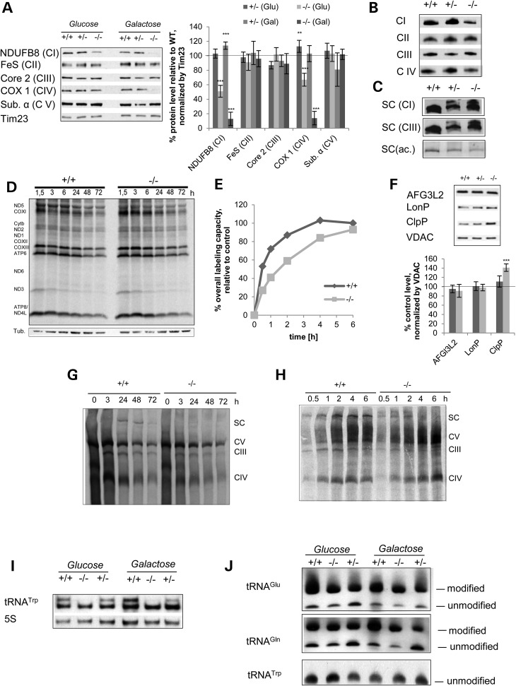 Figure 2.