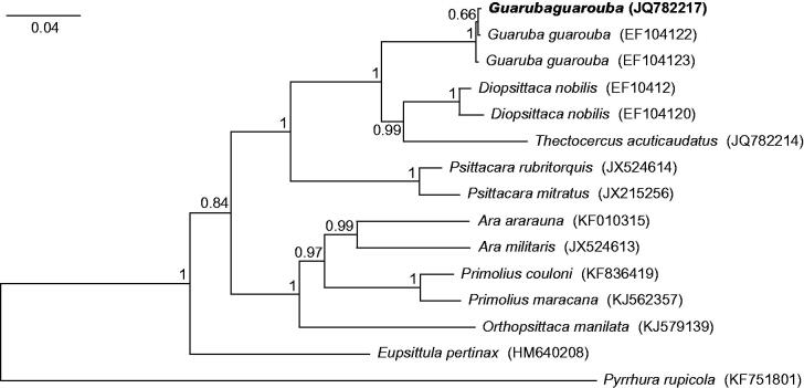 Figure 1.