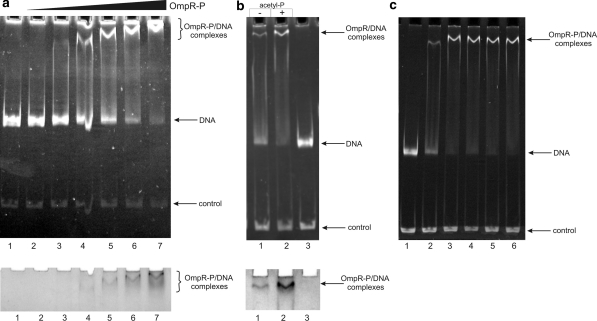 Fig. 6