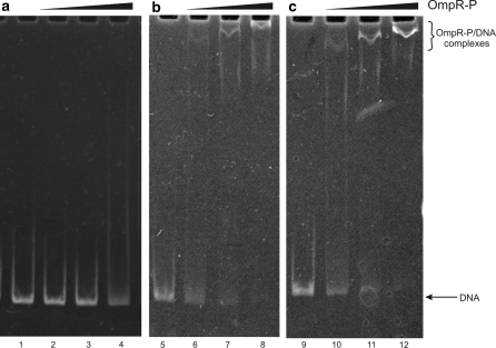 Fig. 7