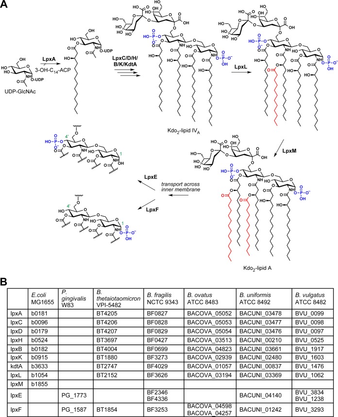 FIG 1 