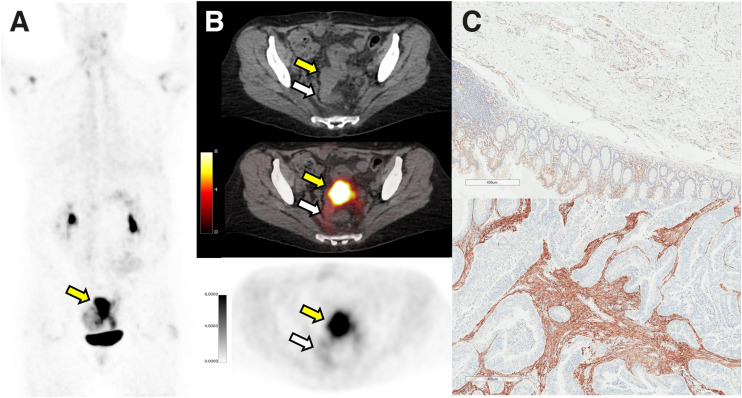 FIGURE 2.