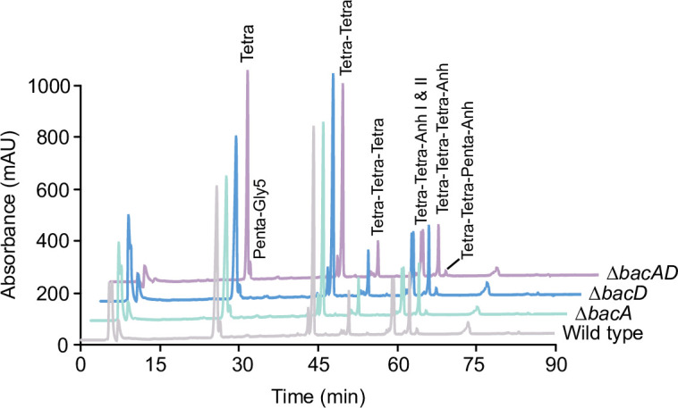 Figure 2—figure supplement 2.